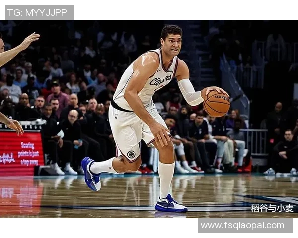 布鲁克洛佩斯：从角色球员到NBA顶尖中锋的华丽蜕变之路